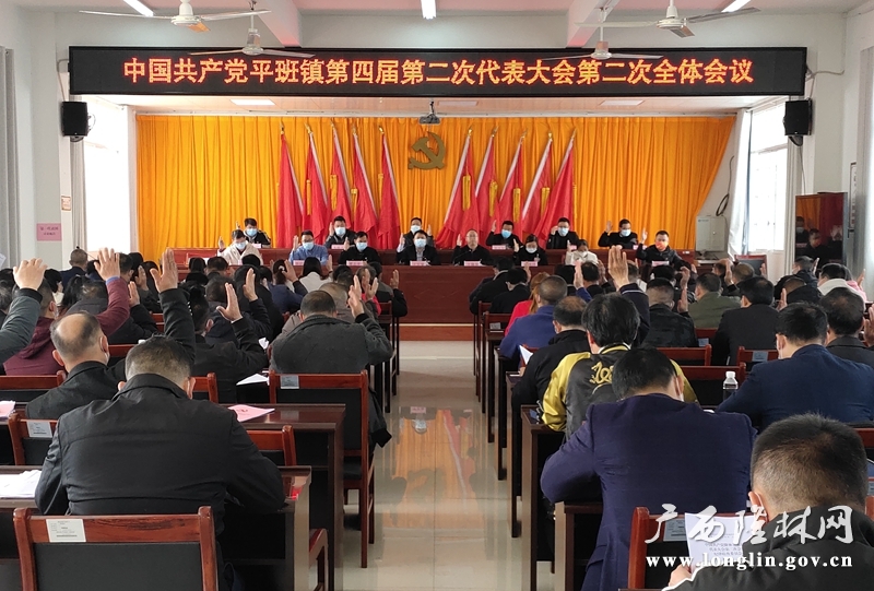 中国共产党平班镇第四届党员代表大会第二次会议（全体会议表决现场）