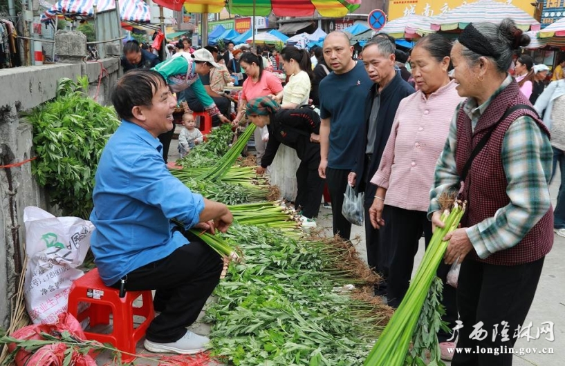 隆林：圩场烟火韵 端午焕新潮