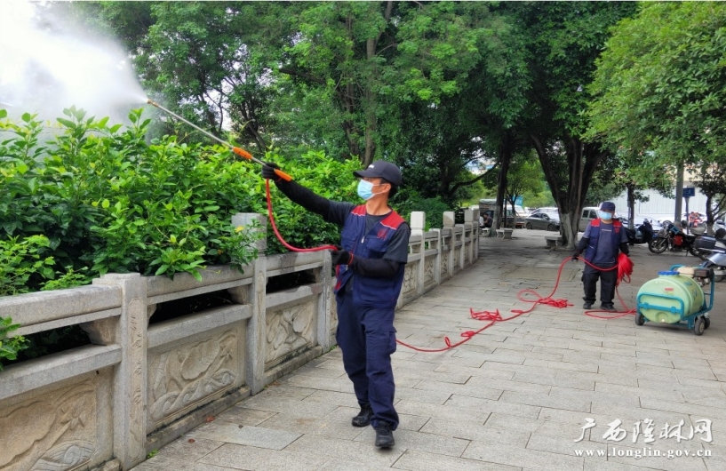 隆林开展以灭蚊为重点的爱国卫生运动 筑牢基孔肯雅热疫情防控屏障