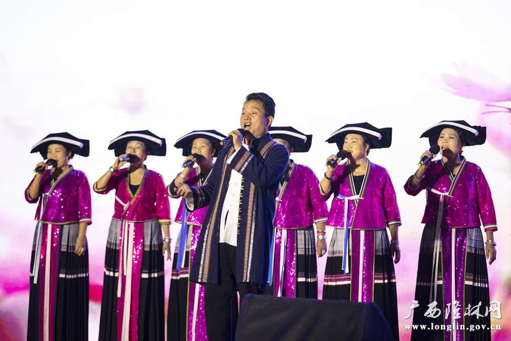 演唱现场3