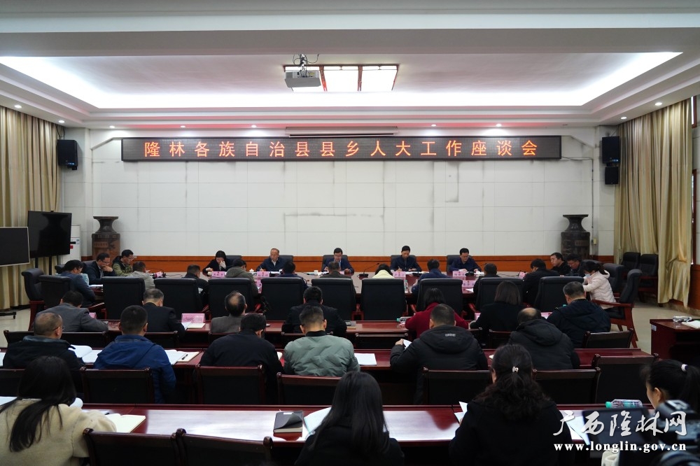 图为座谈会现场