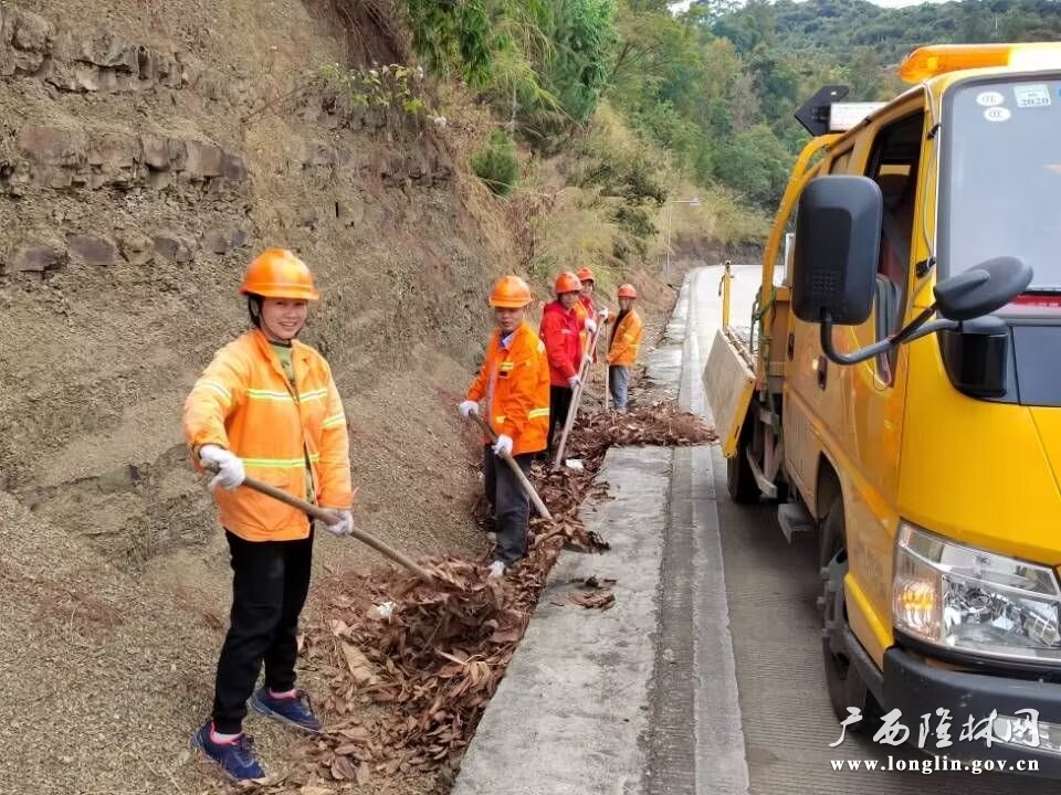 （工作照）隆林公路养护中心女职工杨娜正在与组员们清理残枝枯叶