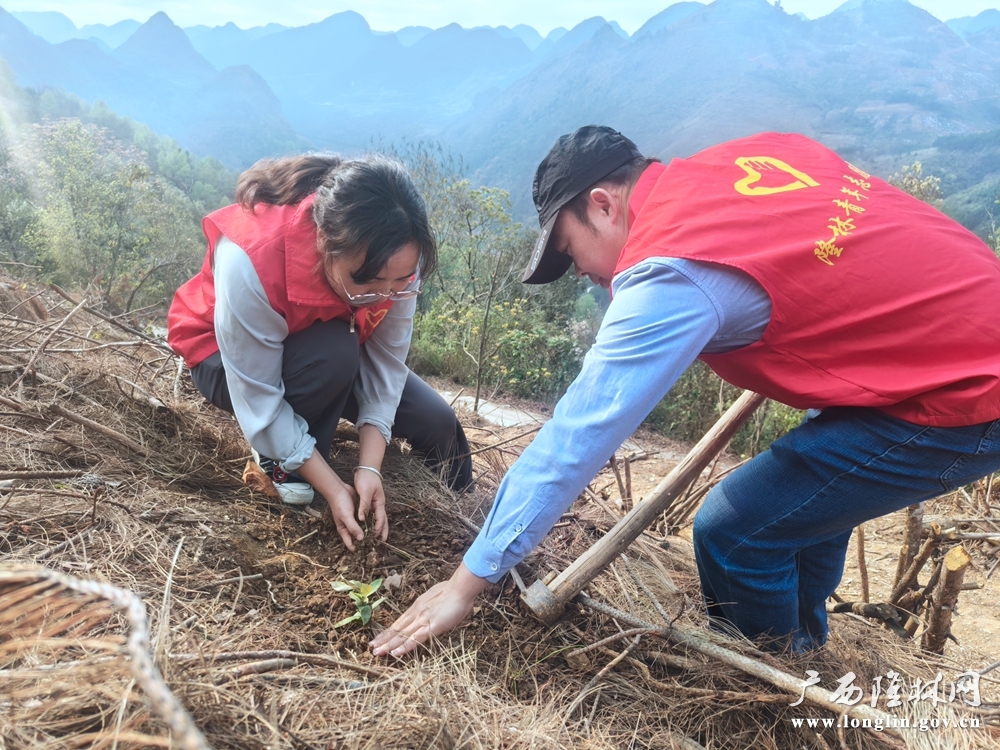 义务植树 (2)