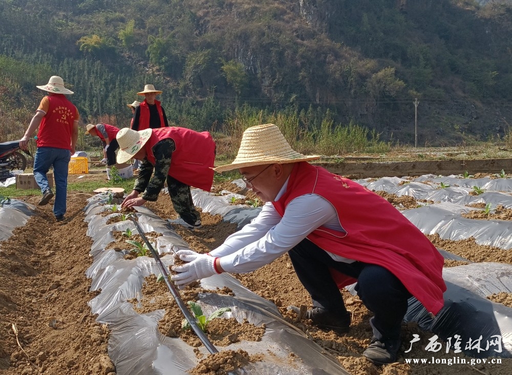 拉设滴管