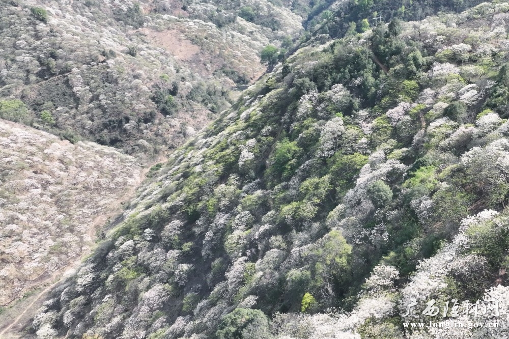 DJI_0228