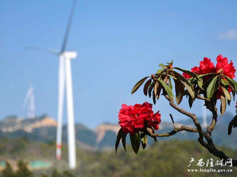 斗烘坡风景秀丽（罗成凯  摄）