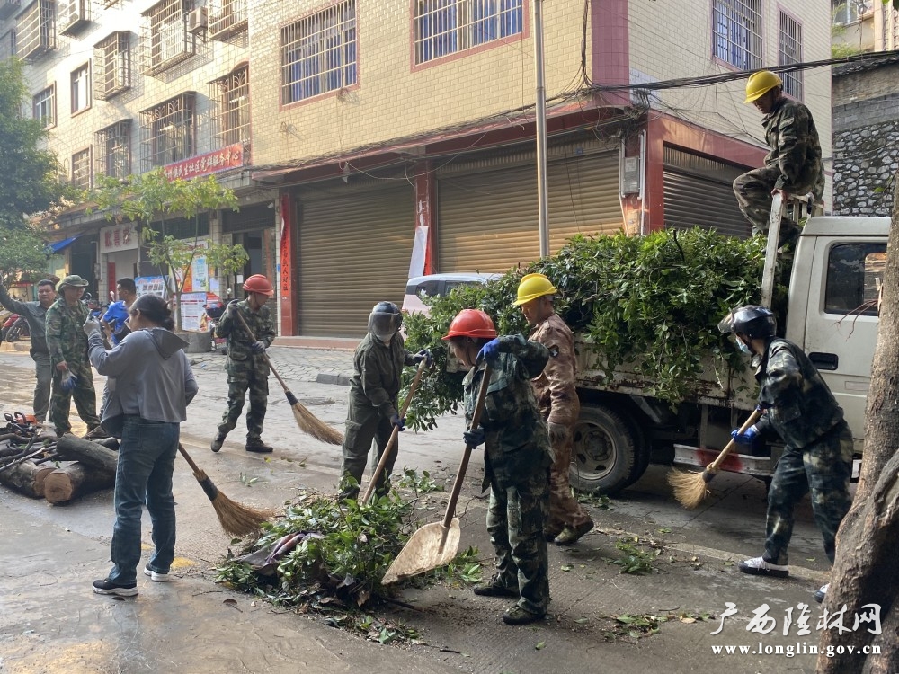 清理后路树