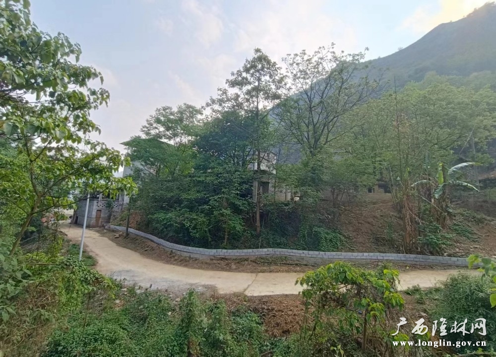 水沟治理后