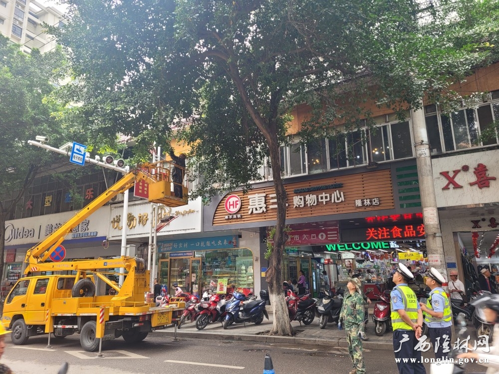 修剪路树