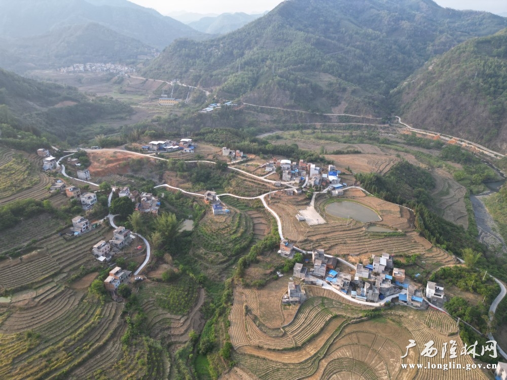 档杆屯屯内道路硬化图片