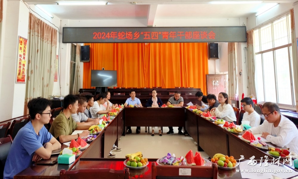 图1：蛇场乡召开“五四”青年干部座谈会