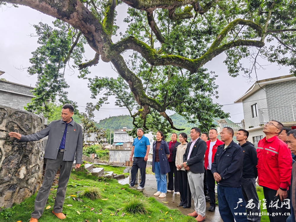 微信图片_20240511172634_副本