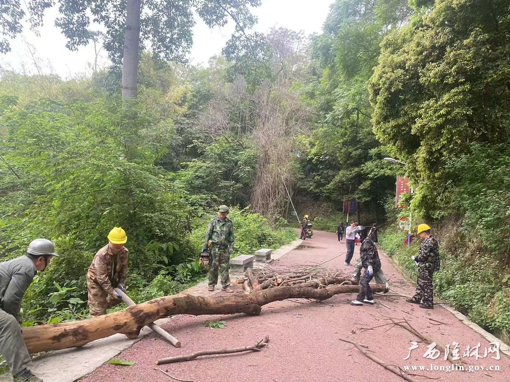 清除枯死树木1_副本