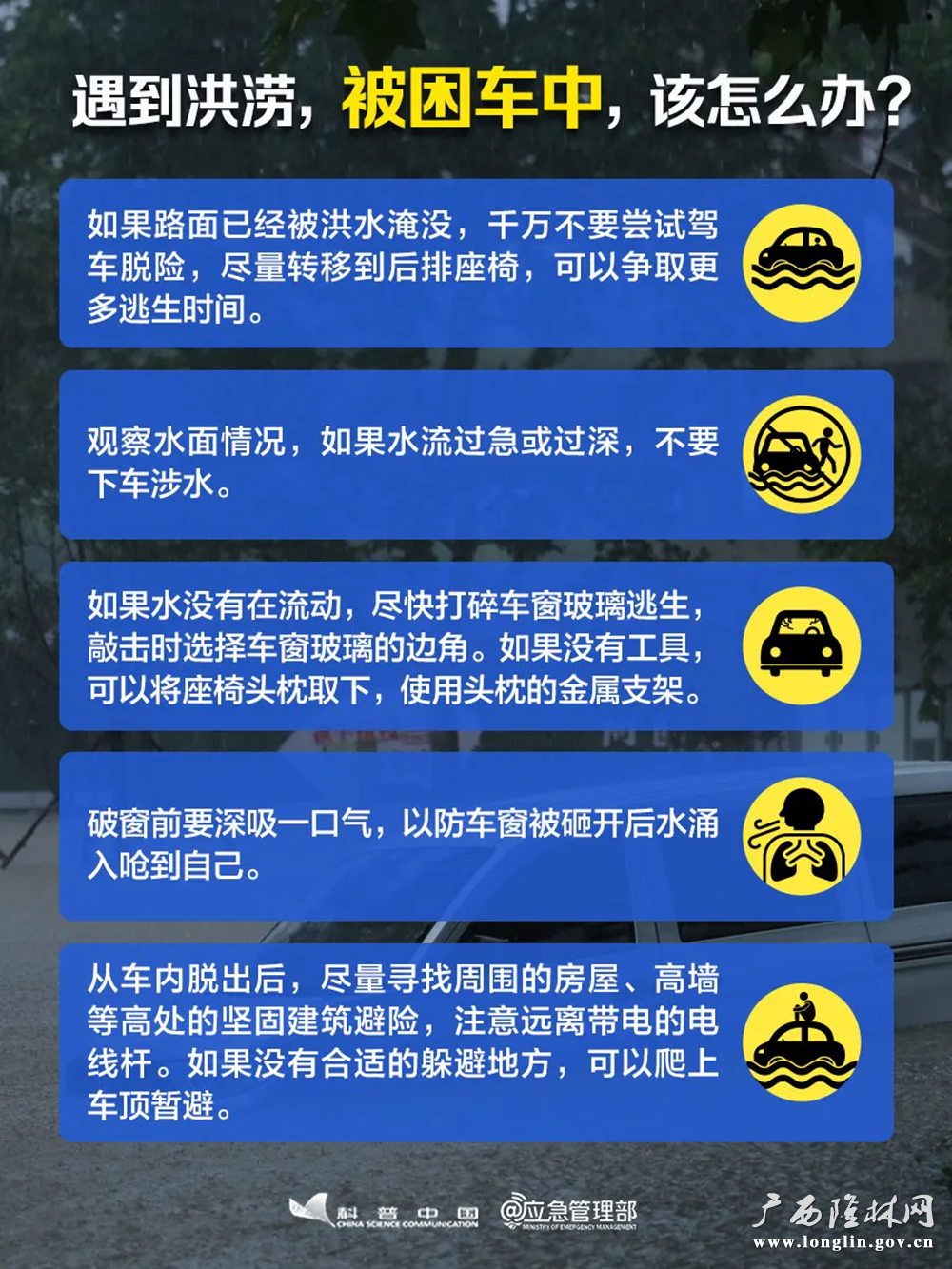图片19