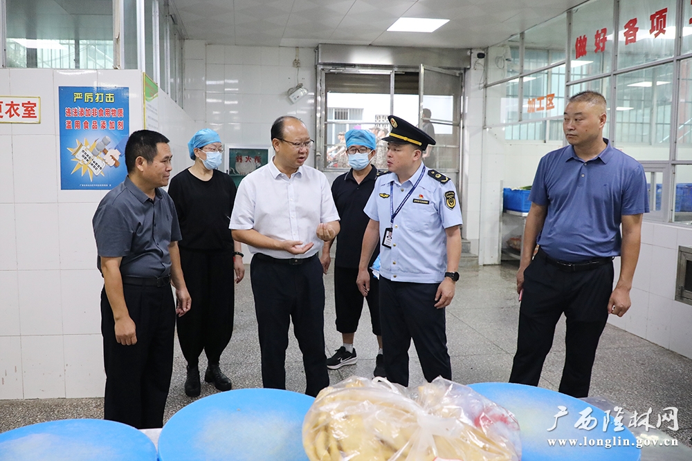 莫庸到隆林中学调研食品安全