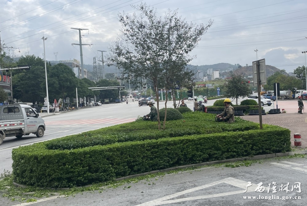 图为工作人员修剪绿篱