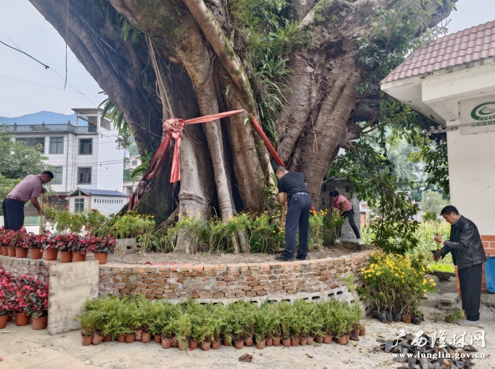 村干齐上阵