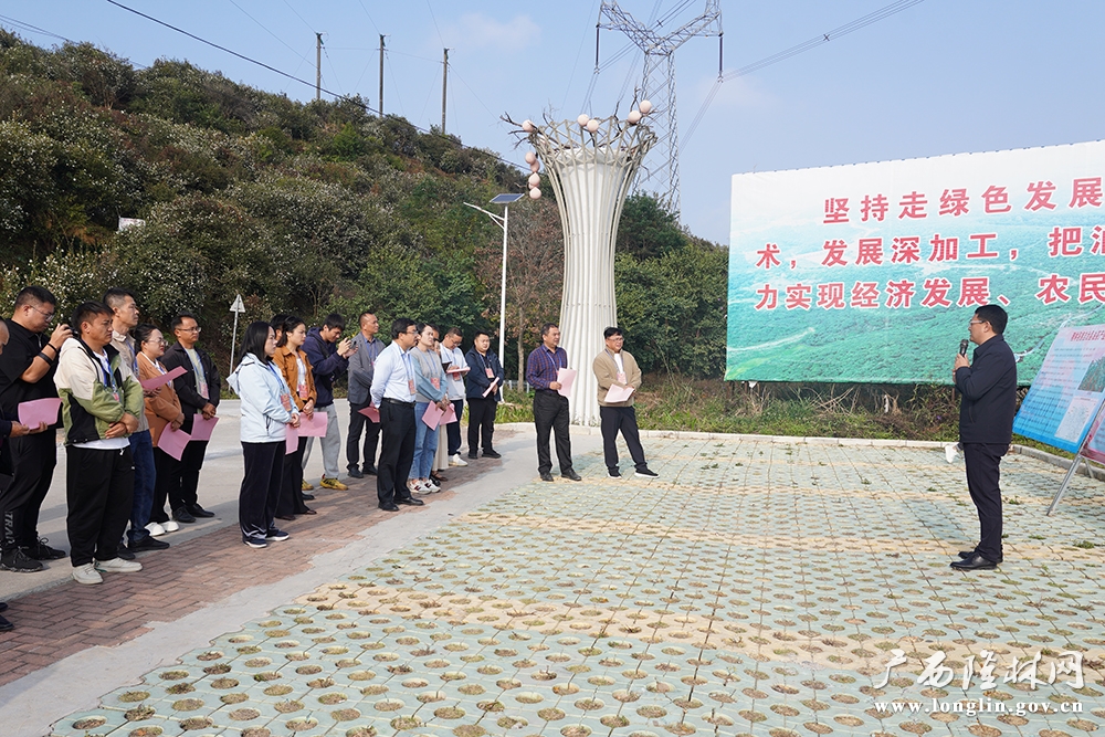 视察组在万亩油茶基地听取介绍