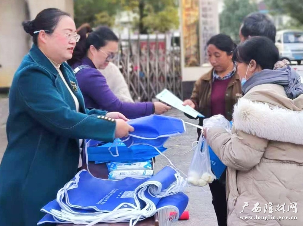 工作人员向群众解答咨询问题