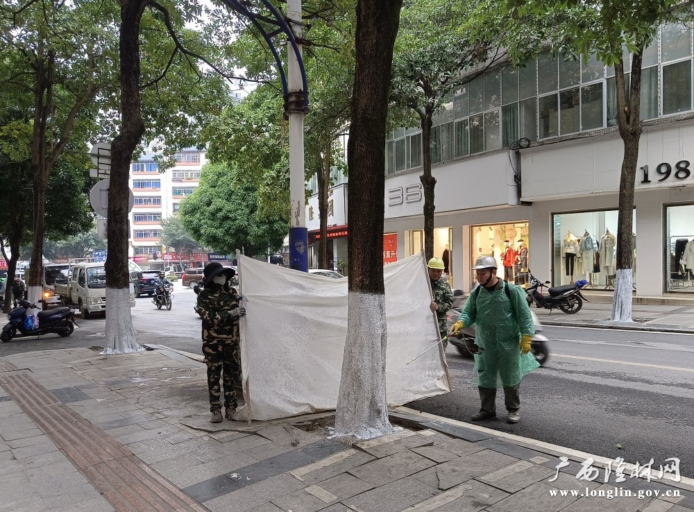 工作人员在给树木添新衣