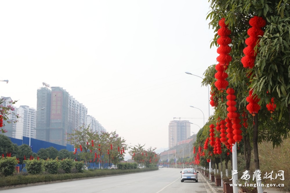 微信图片_20250121104502
