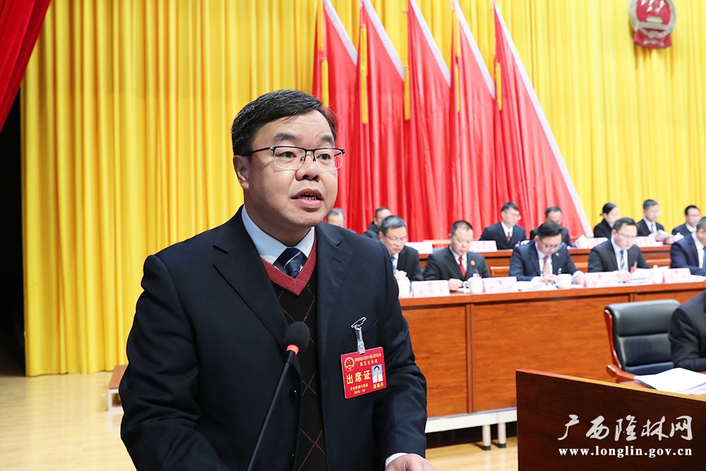 潘顺丹作人大常委会工作报告