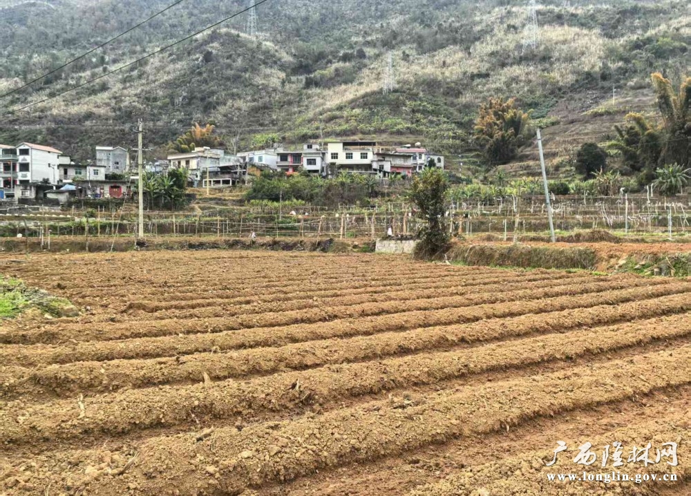 微信图片_20250307102650