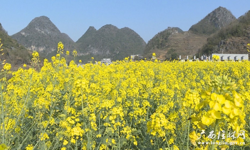 微信图片_20250312101131