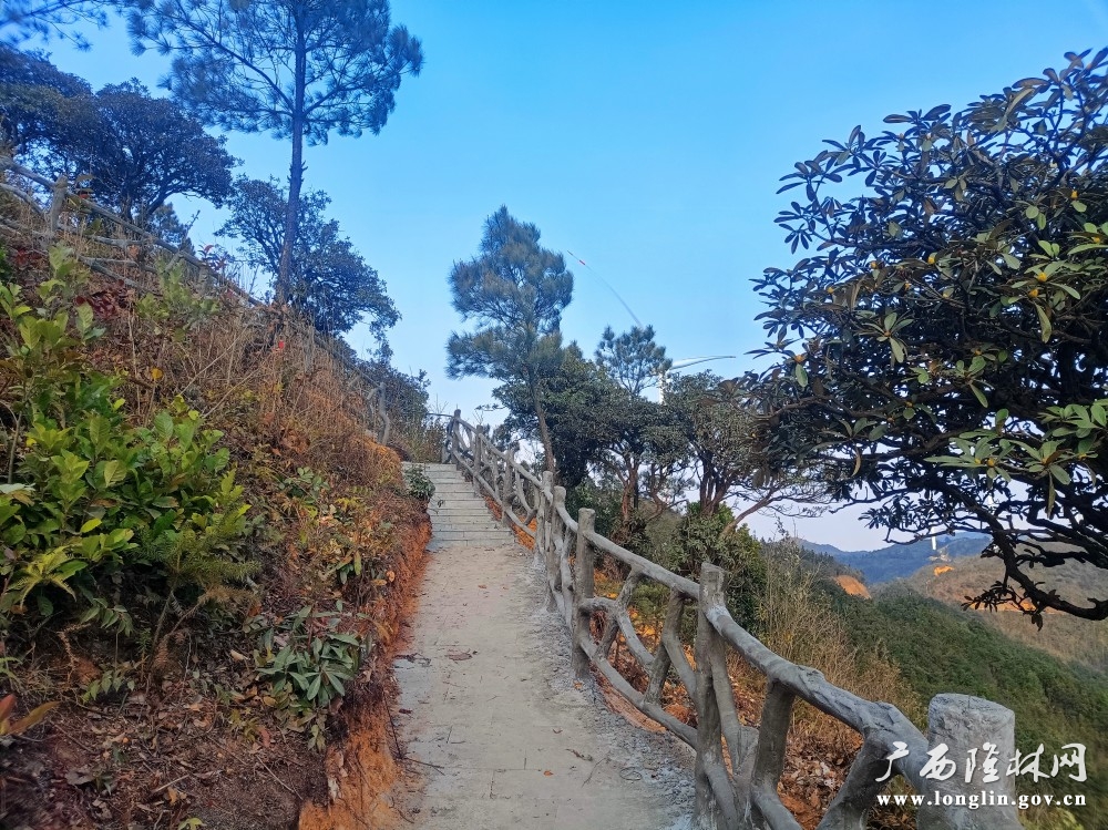 景区栈道建设初显成效