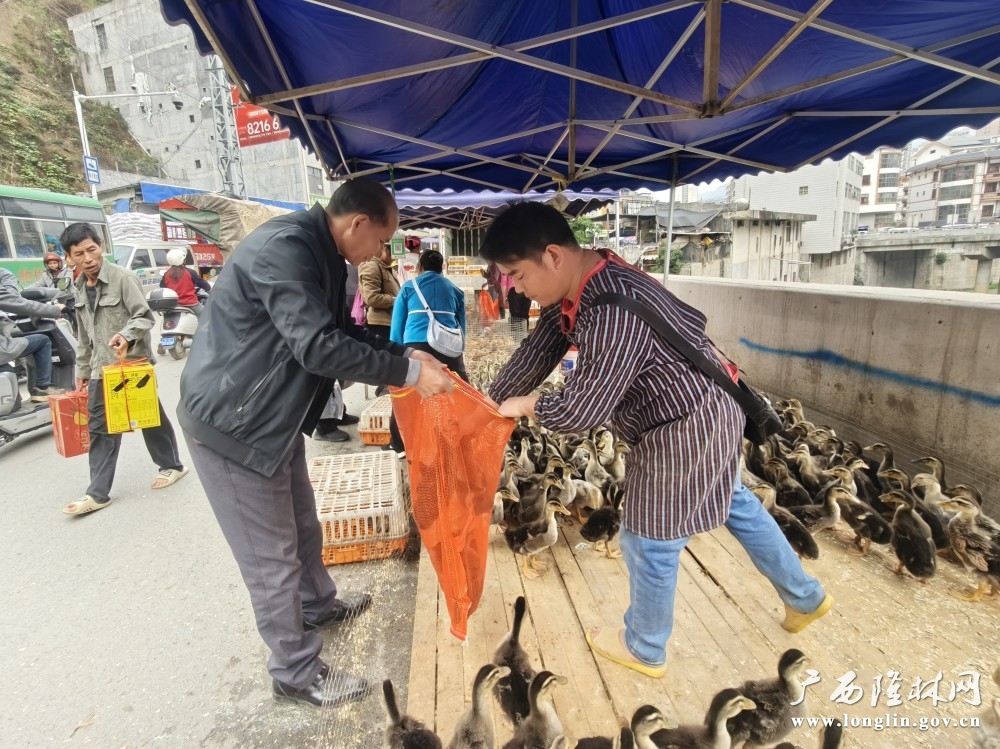 微信图片_20250411154013