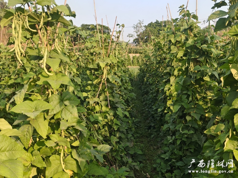 微信图片_20250422170509