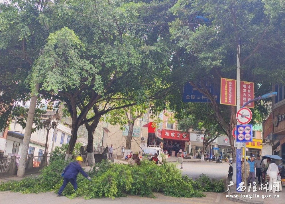 微信图片_20250424110052