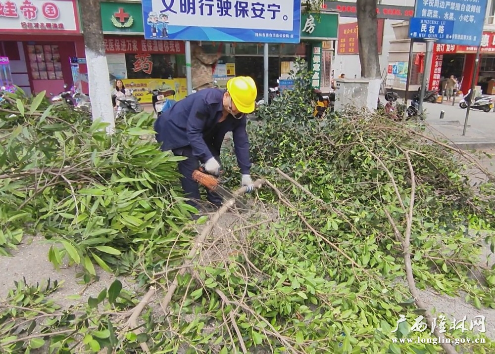 微信图片_20250424110046