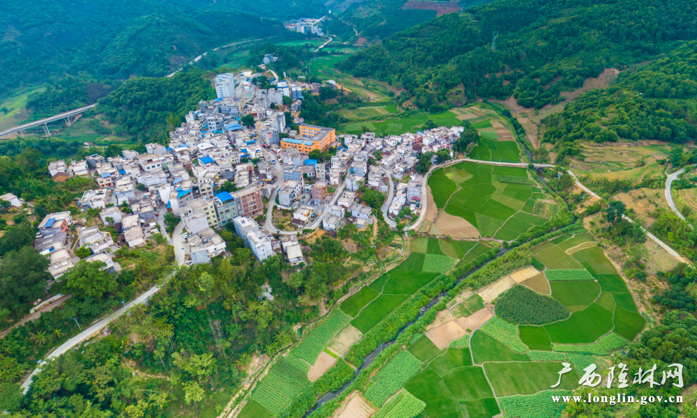 扁牙村全貌