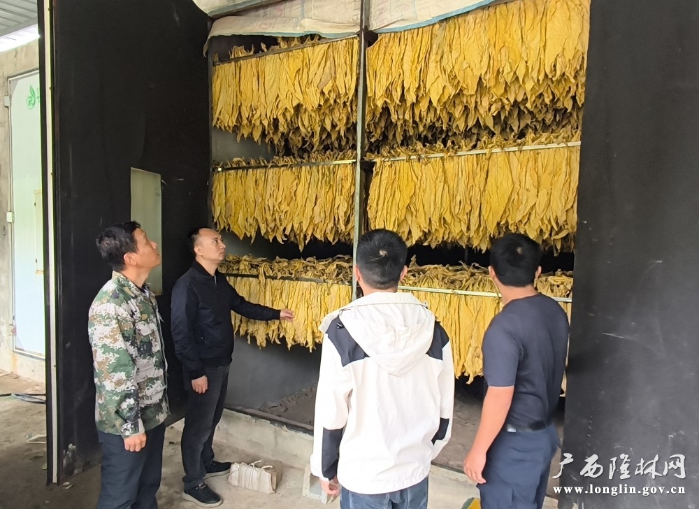弄昔村第一窑烟出炉