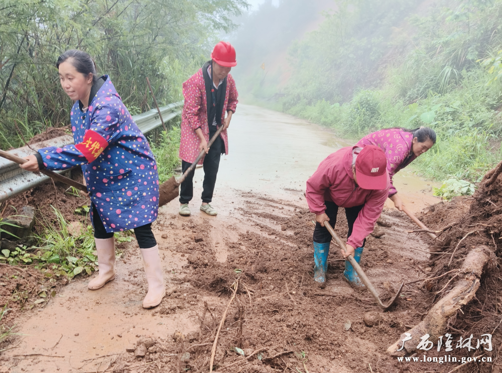 图为人大代表侯永花在组织群众清理道路塌方现场