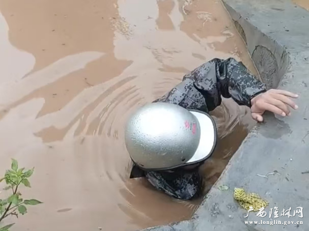 图片1