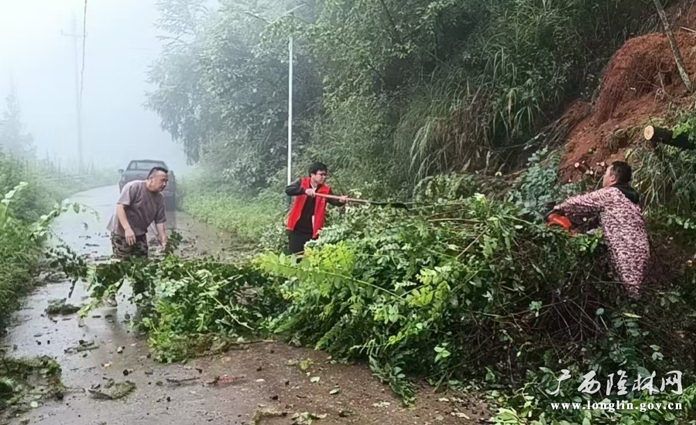 清理路面倒伏树木