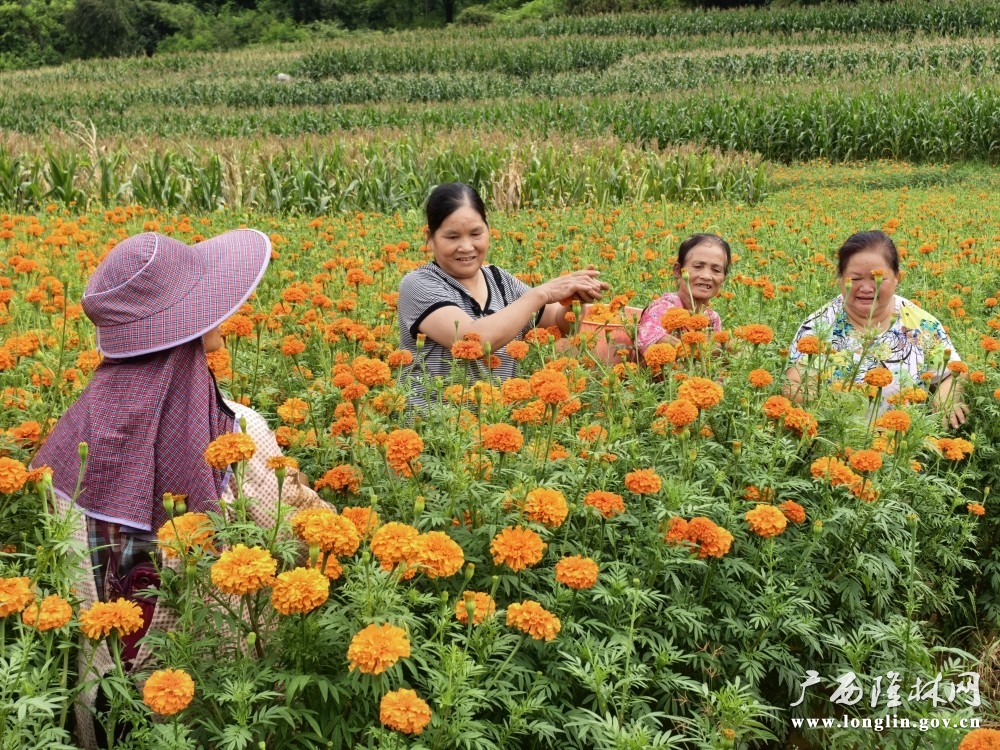 丰收的喜悦