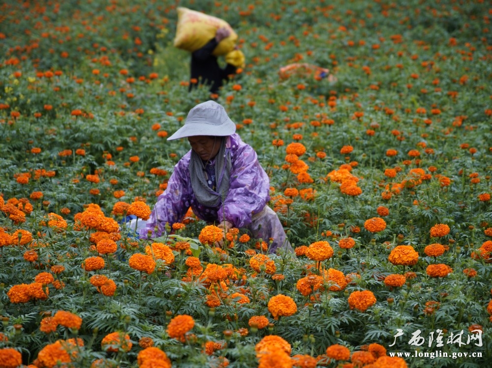 微信图片_20250723162457
