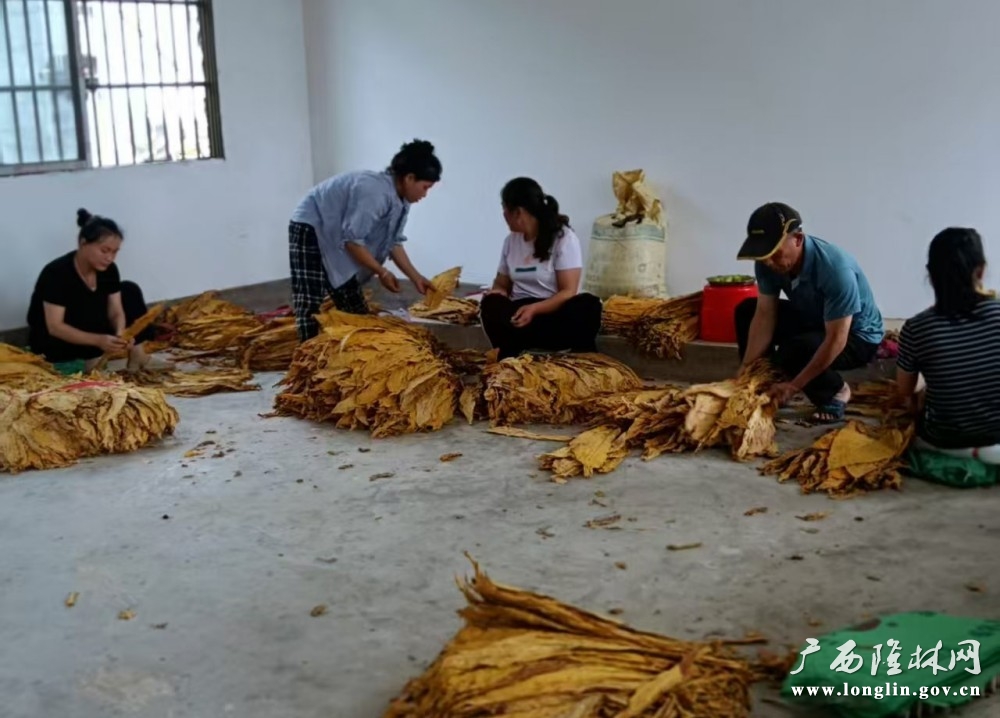 微信图片_20250723164148