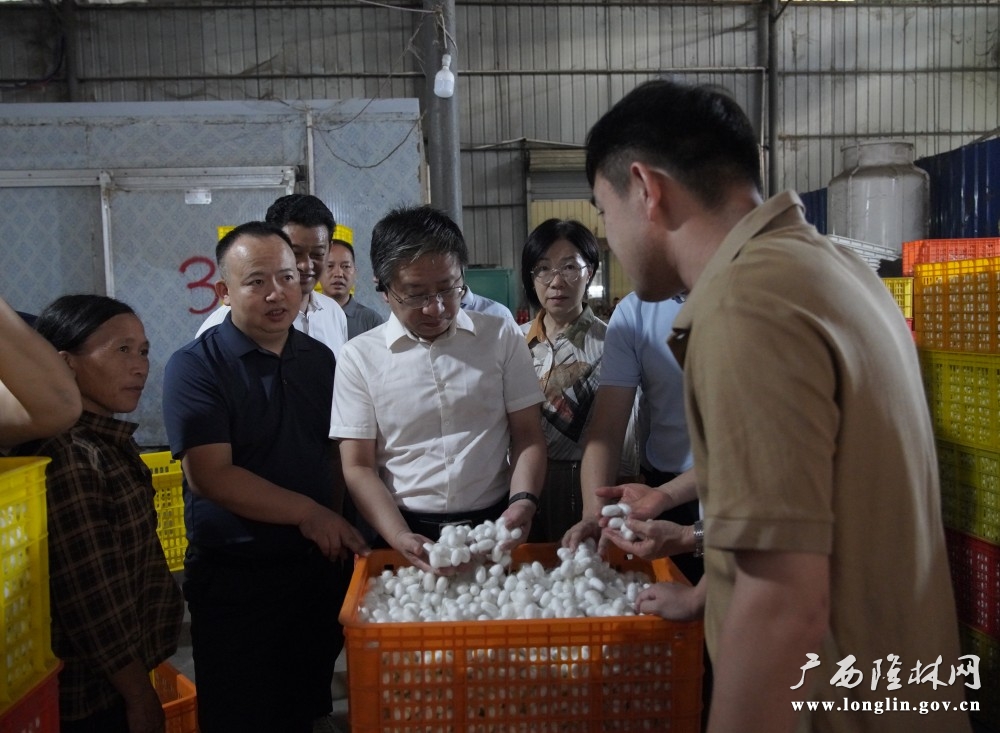 微信图片_20250801113707