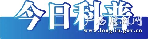 今日科普 今日科普