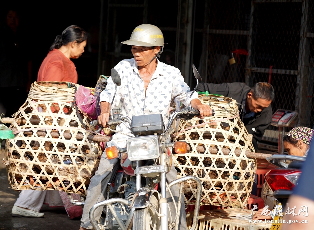 a51d79c8053cae35320eb2ede3ba17f6