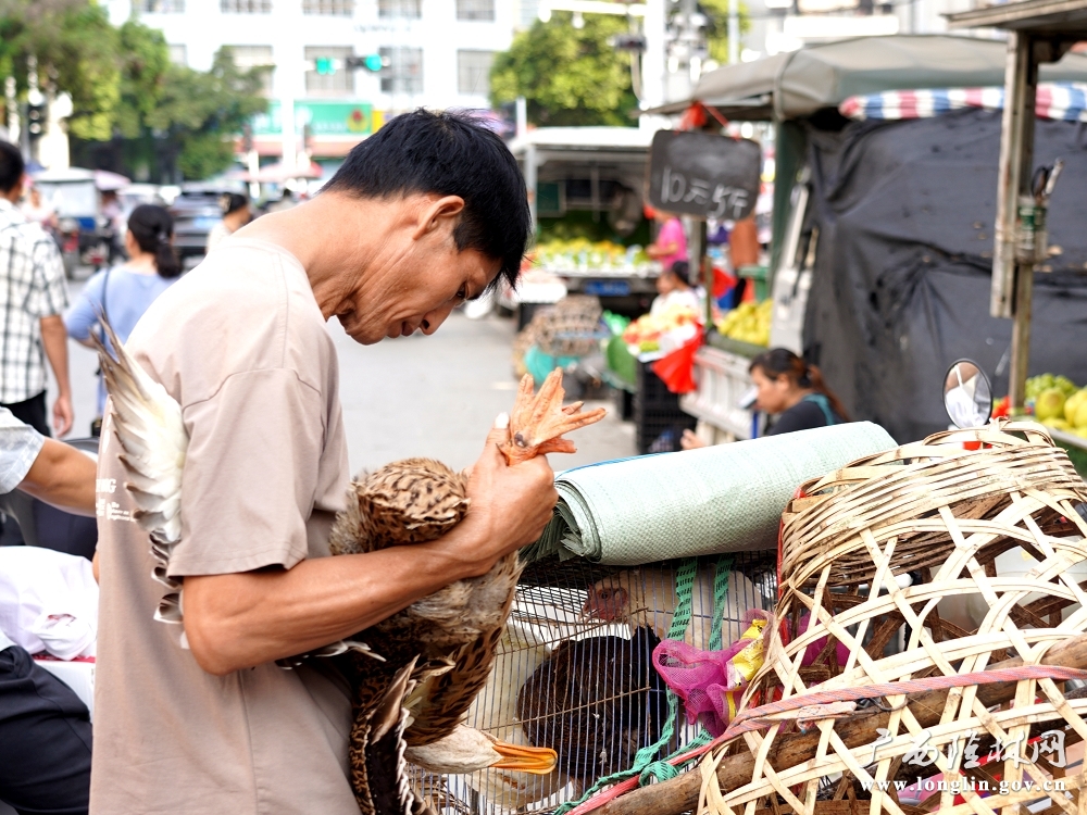 cb59cdee708cd85313ae2d269bf03855