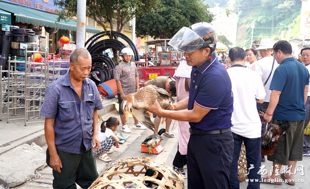 4d84ebe2b6aa5e927a0ba0c0681529f6