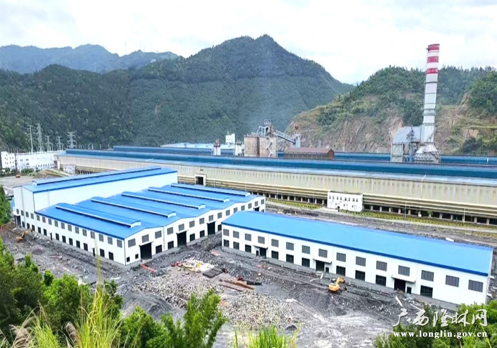 已建成的地块一1#标准厂房 已建成的地块一1#标准厂房