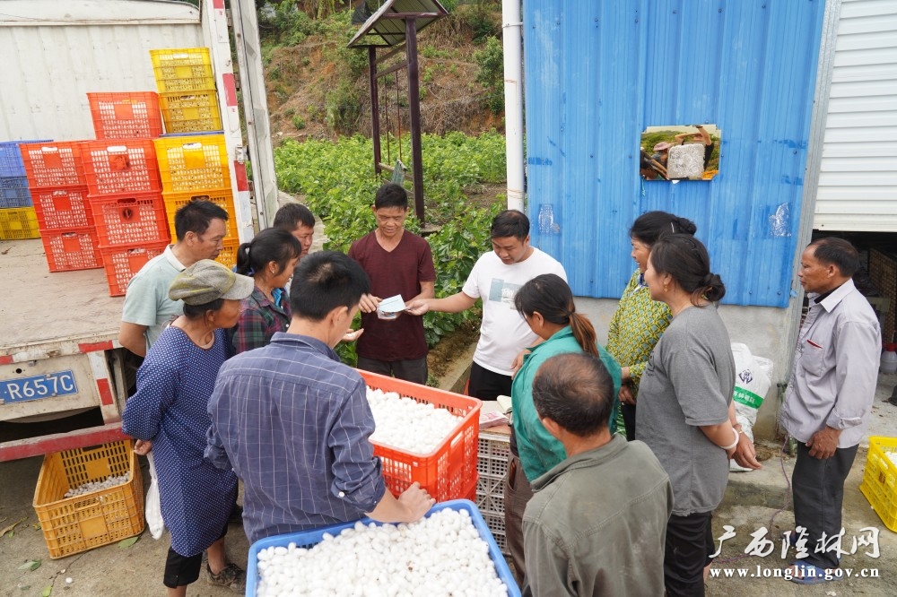 微信图片_20250926154150_107_30