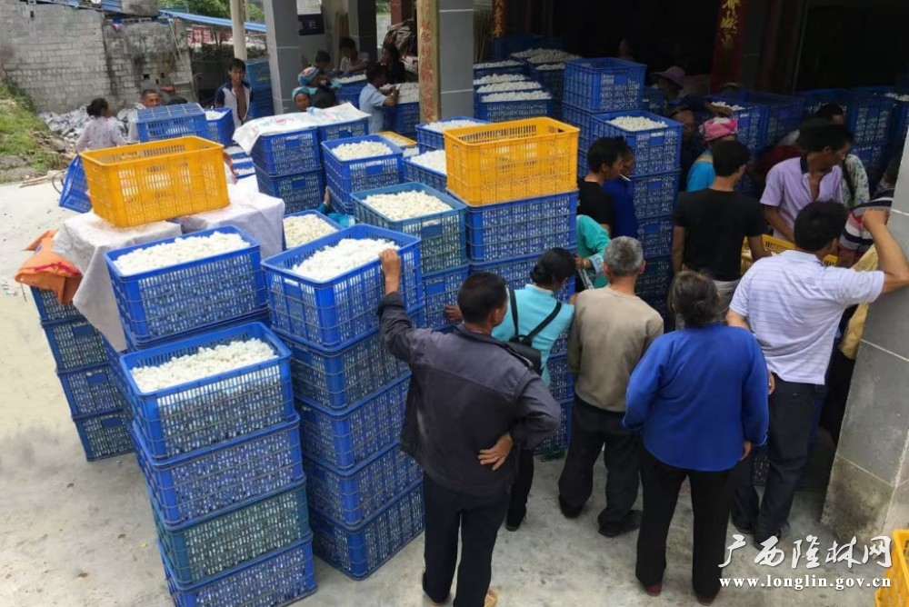 微信图片_20250926154314_112_30