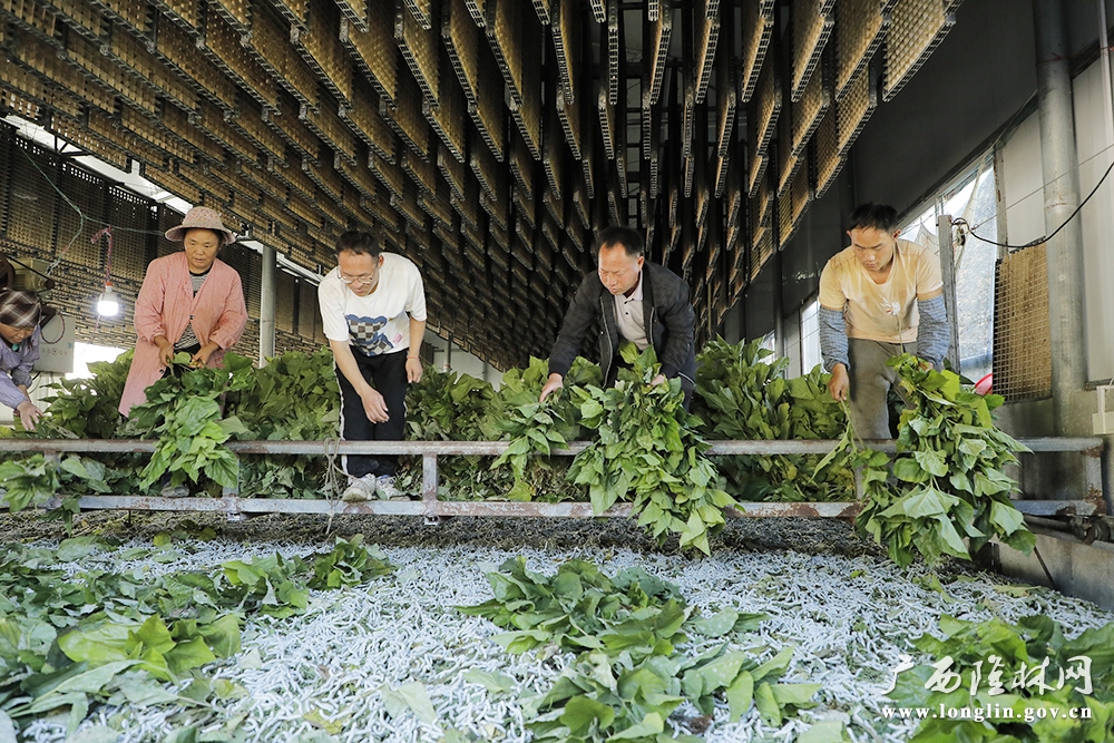 喂养现场 喂养现场